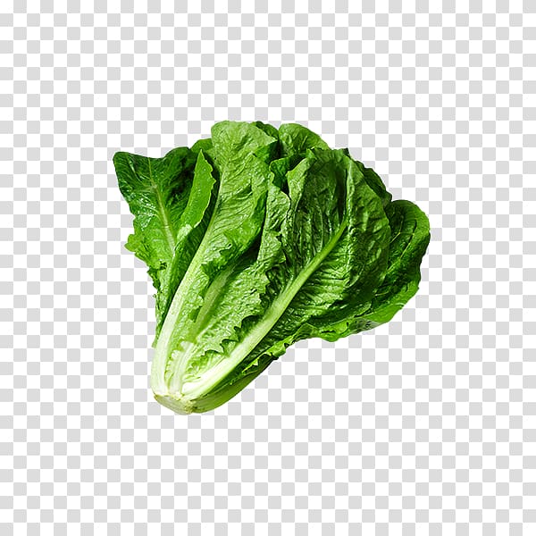 Caesar salad Lettuce sandwich Wrap , vegetable transparent background PNG clipart