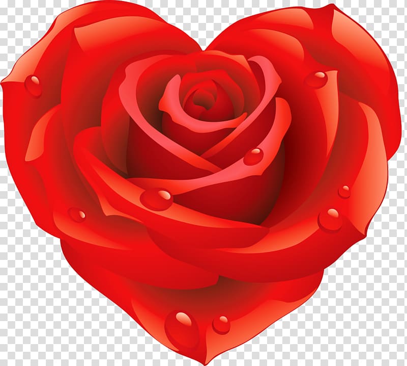 Rose Heart Flower Shape, Animation transparent background PNG clipart