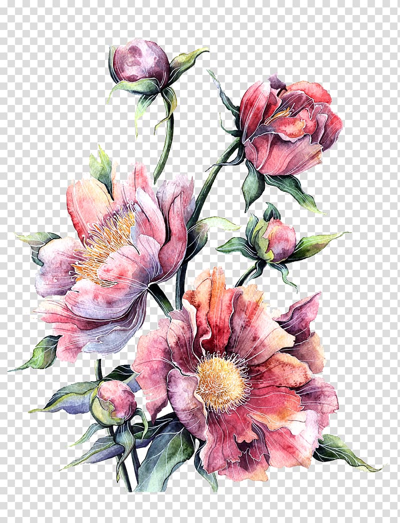 Flower Watercolor painting Floral design Printing, Watercolor pink peony in full bloom, pink-and-red roses transparent background PNG clipart