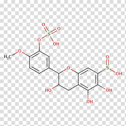 Flavonoid Antioxidant Naringenin Phytochemical Hesperidin, others transparent background PNG clipart