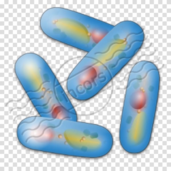 Microbiology Computer Icons Bacteria Biology , bacteria kingdom transparent background PNG clipart