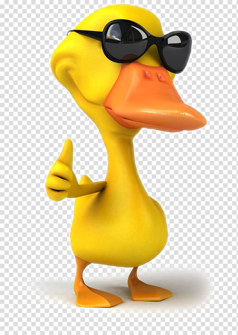 Duck wearing sunglasses illustration, Cartoon duck transparent