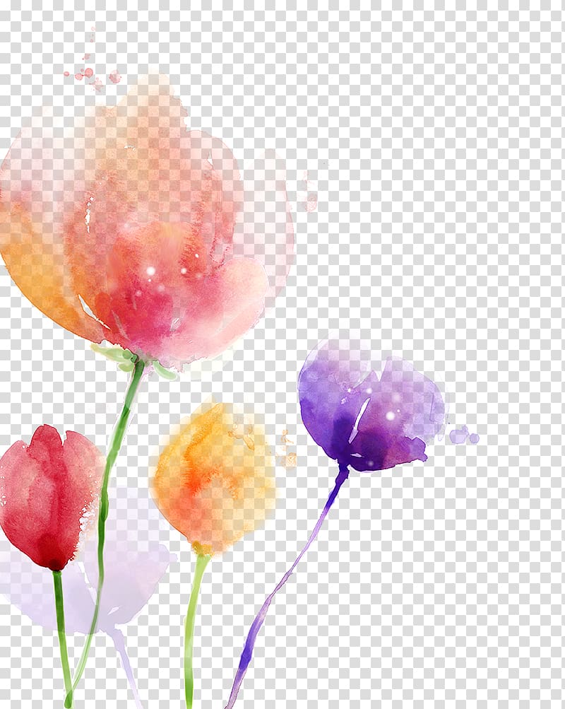 purple, red, and orange flowers illustration, South Korea Watercolor painting Flower, tulip transparent background PNG clipart