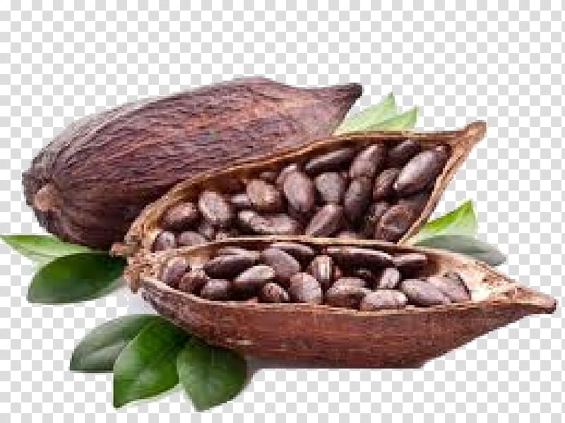 seeds inside nut shell, Cocoa bean Cocoa solids Hot chocolate Cappuccino, black beans transparent background PNG clipart