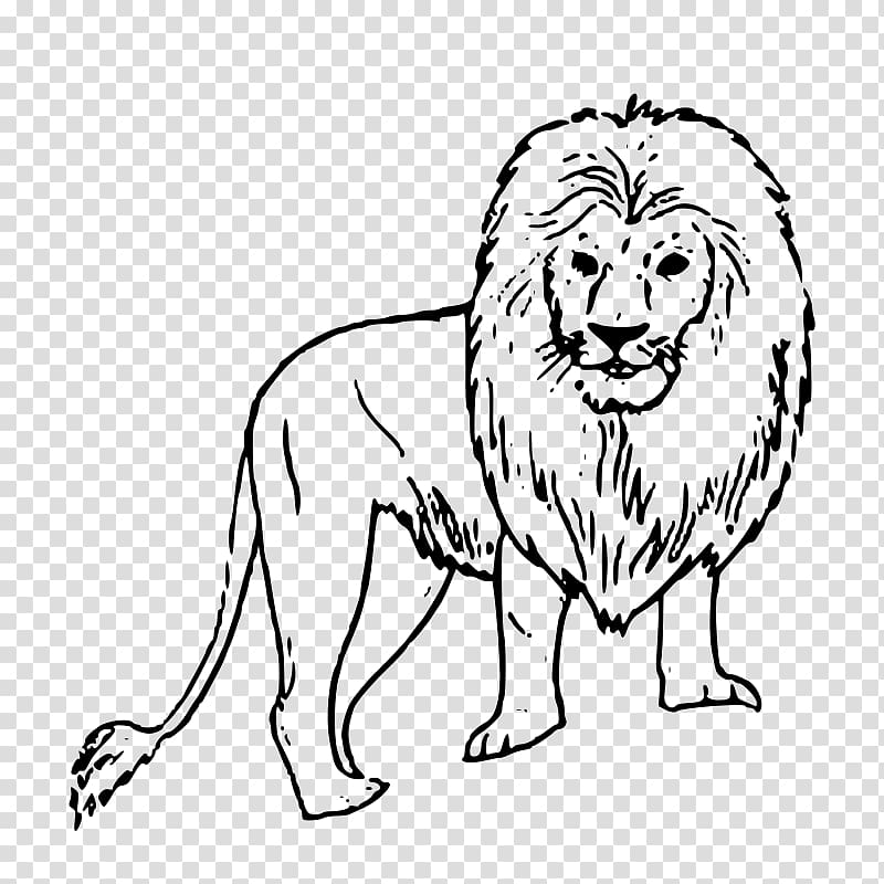 Lion Coloring book Gir Forest National Park Page Cougar, lion transparent background PNG clipart