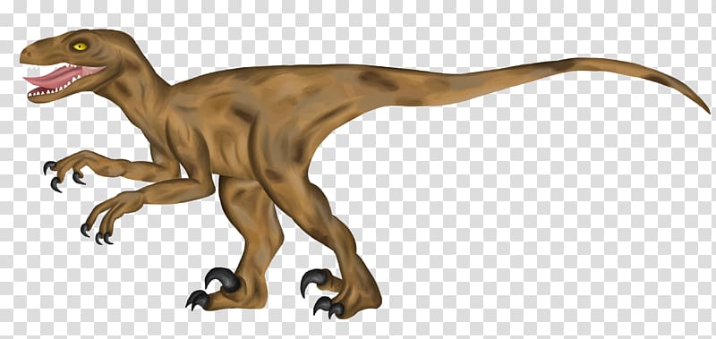 Velociraptor Tyrannosaurus Terrestrial animal, Velociraptor transparent background PNG clipart