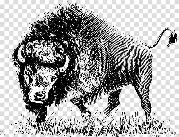 American bison graphics Open , buffalo head black and white transparent background PNG clipart