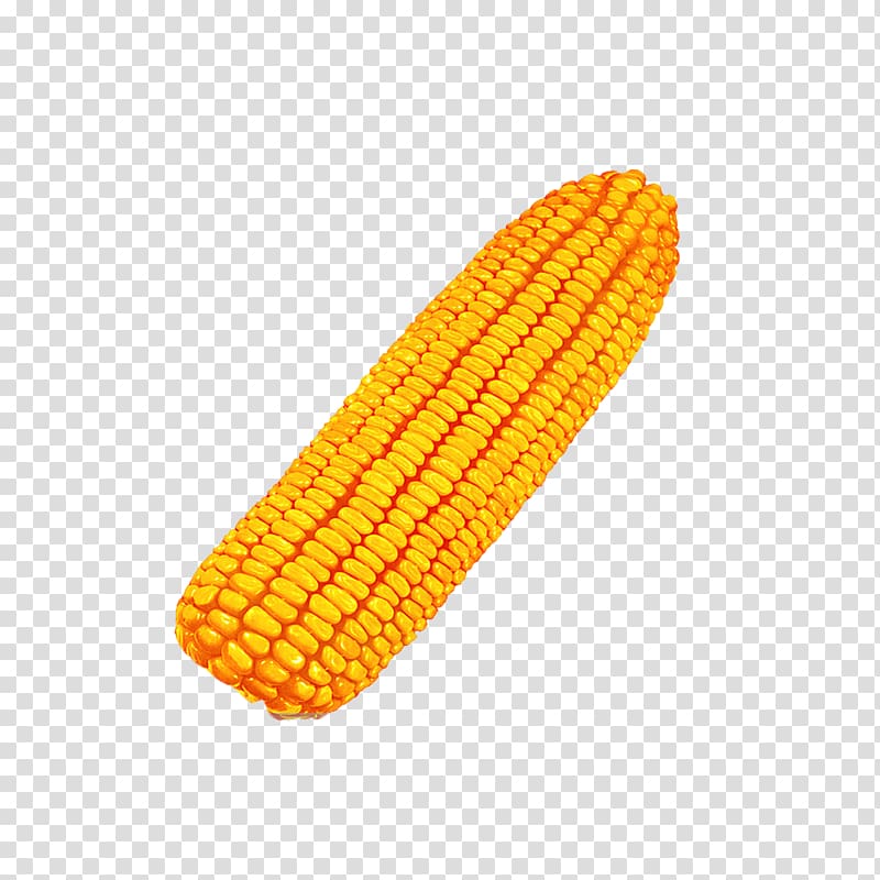Corn on the cob Maize Caryopsis Crop Seed, corn transparent background PNG clipart