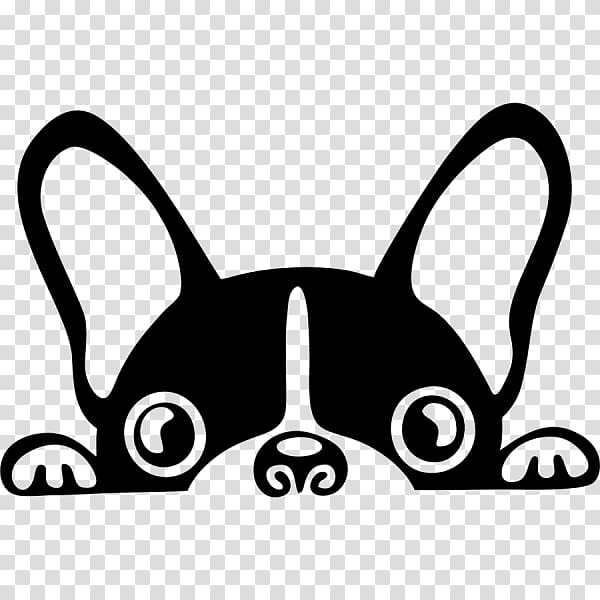 French Bulldog Boston Terrier Pit bull Puppy, puppy transparent background PNG clipart