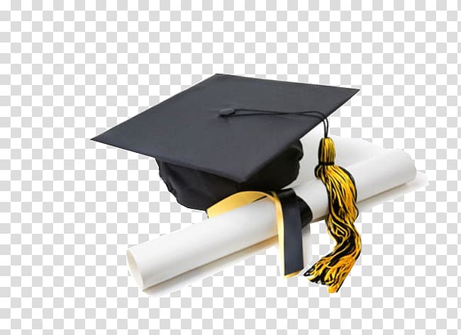 Academic dress Graduate diploma Graduation ceremony Gown, student transparent background PNG clipart