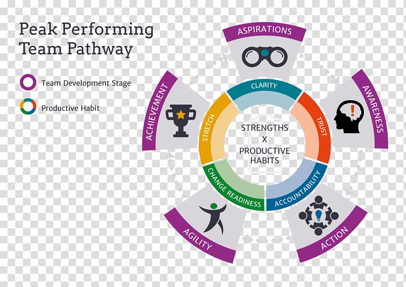 Organization Team Leadership Strengthscope Professional development, others transparent background PNG clipart