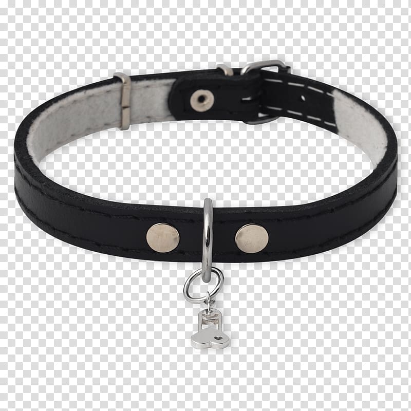 Dog collar Belt Buckles, red collar dog transparent background PNG clipart