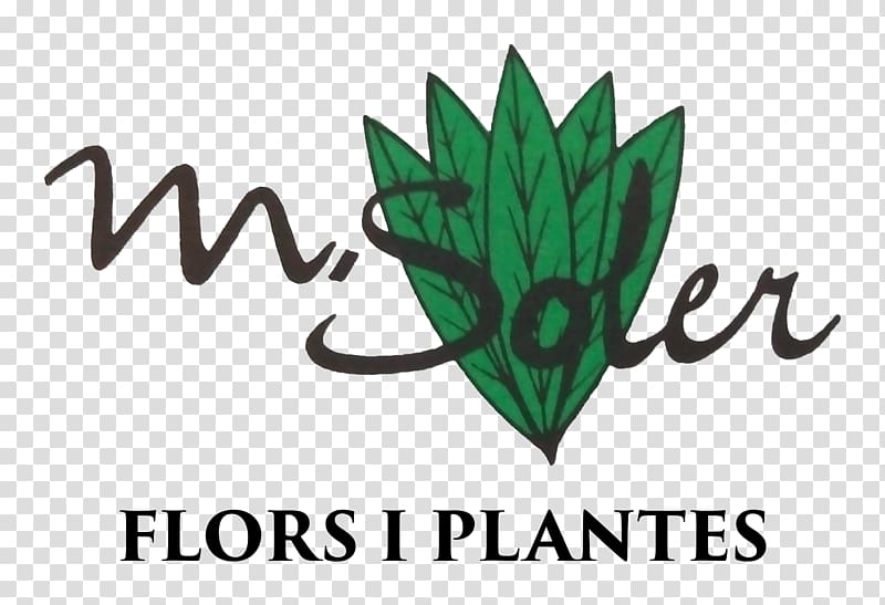 Logo Font Leaf Brand, carrer de soler transparent background PNG clipart