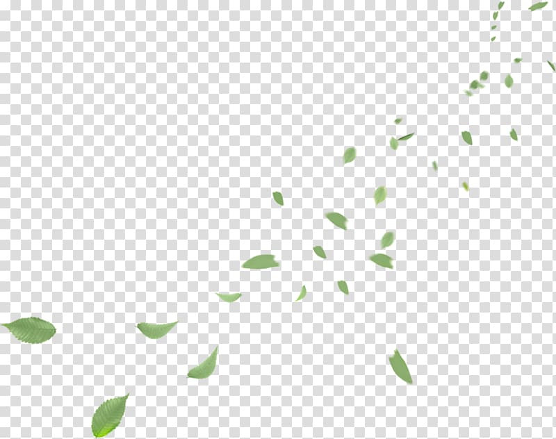 Leaf Petal , leaf frame transparent background PNG clipart