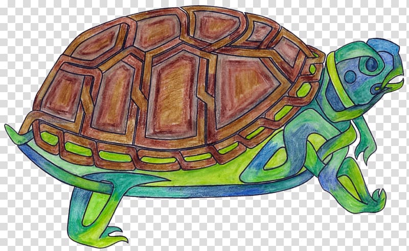 Box turtles Tortoise Sea turtle Terrestrial animal, turtle transparent background PNG clipart