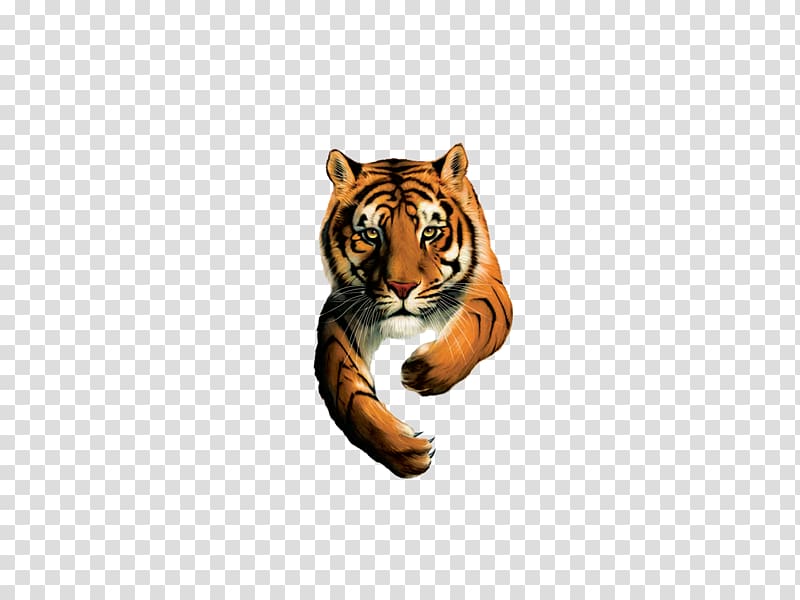Gauteng Tiger Brands Chief Executive Business Company, tiger transparent background PNG clipart
