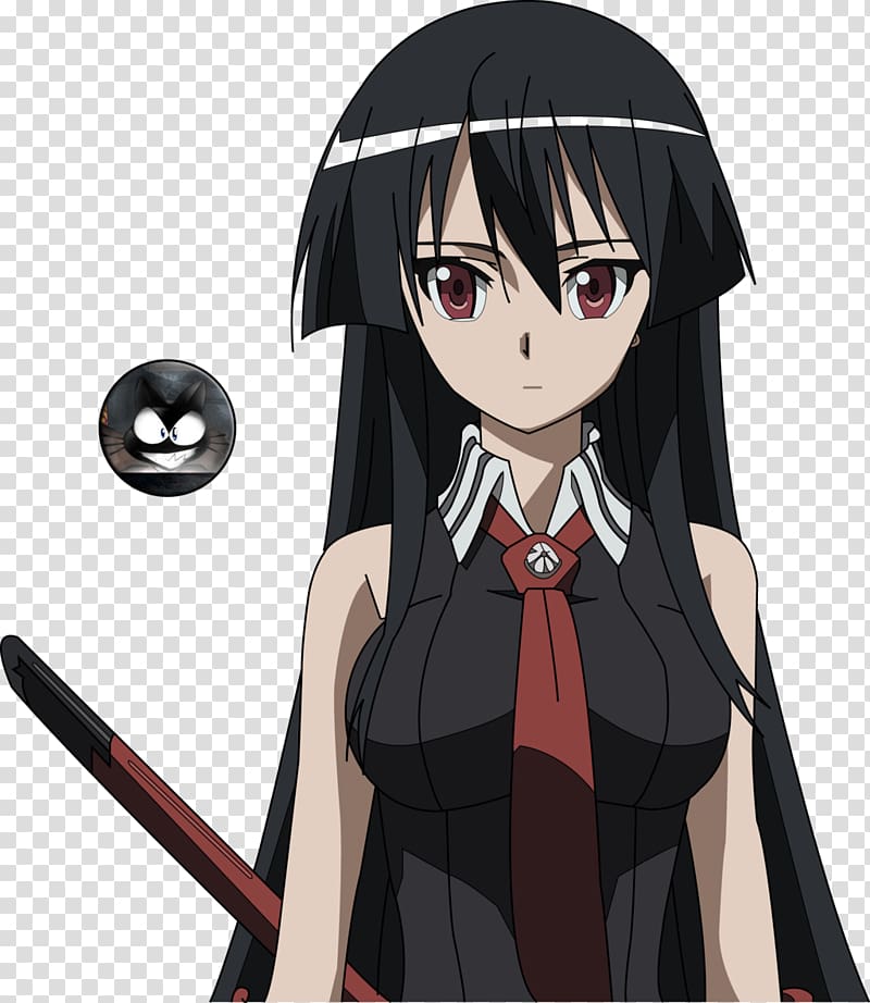 Akame ga Kill! Anime Mangaka Teigu, Anime, black Hair, manga, fictional  Character png