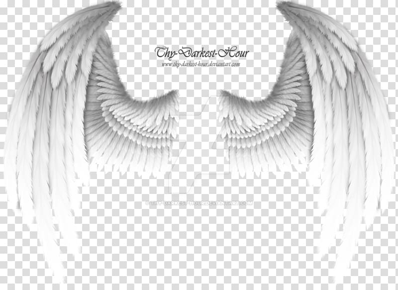 Angel Wing, white wings transparent background PNG clipart