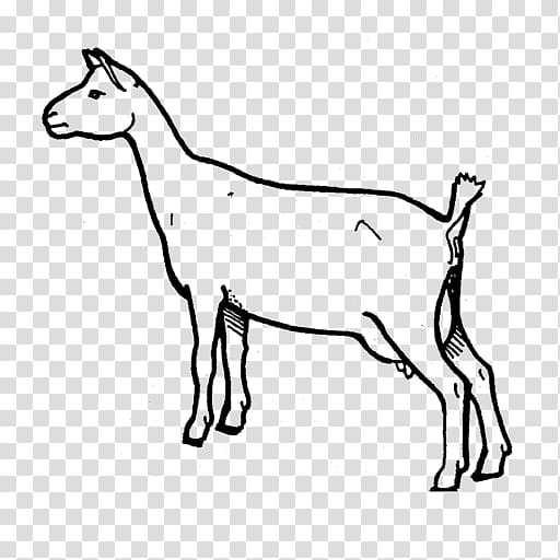 Nigerian Dwarf goat Oberhasli goat Cattle Animal Caprinae, goat transparent background PNG clipart
