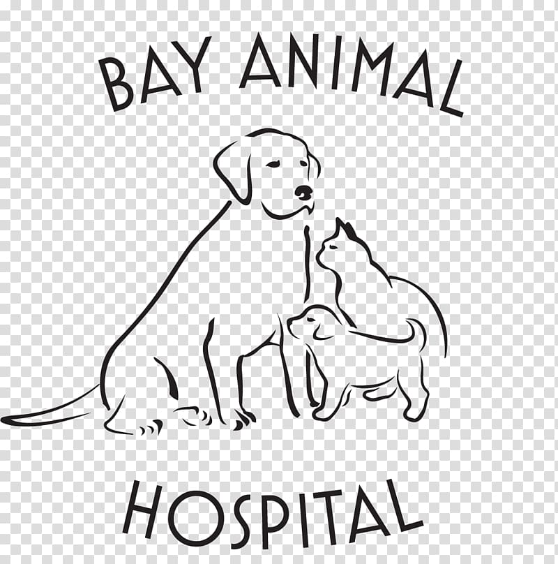 Dog Bay Animal Hospital Veterinarian Cat Pet, Veterinarian transparent background PNG clipart