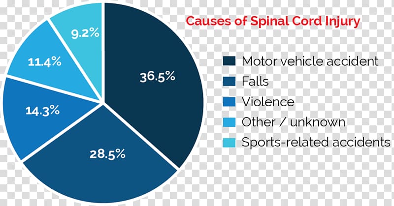 Spinal cord injury Medicine Vertebral column, national pattern transparent background PNG clipart