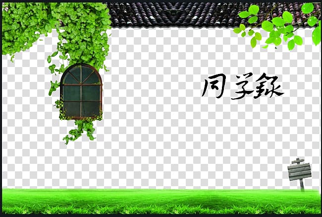 Computer Icons, Classmates,Senior Year,window,Green leaves transparent background PNG clipart