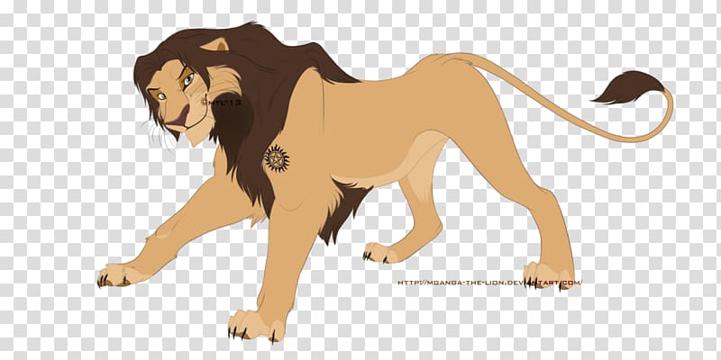 Lion Big cat Sam Winchester Homo sapiens, Sam Winchester transparent background PNG clipart