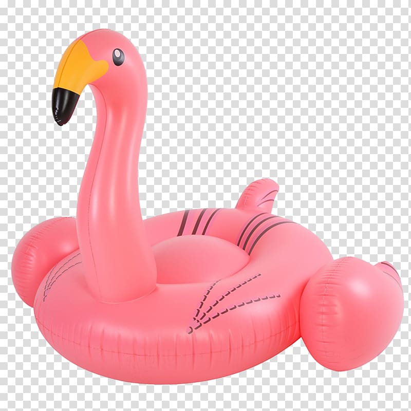 Flamingo Inflatable Bouncers Water bird, flamingos transparent background PNG clipart