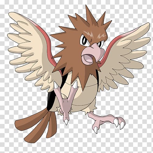 Owl Spearow Fearow Nidoking, owl transparent background PNG clipart
