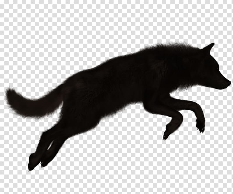 Gray wolf , Wolf shadow transparent background PNG clipart