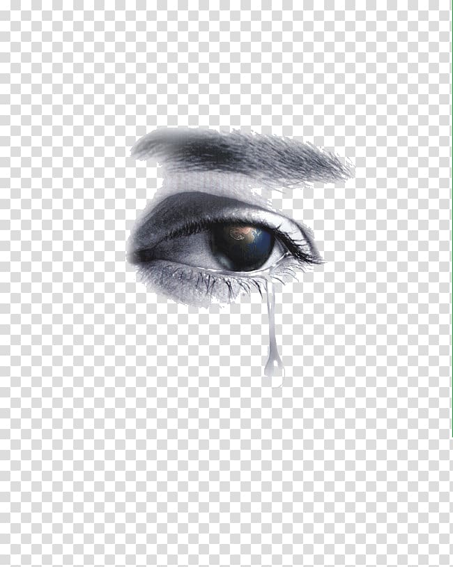 Eye Close-up, eye transparent background PNG clipart