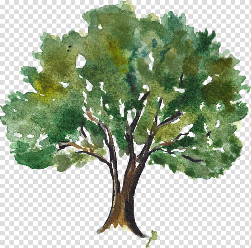 green watercolor trees transparent background PNG clipart