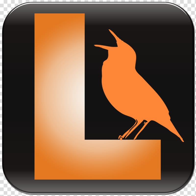Bird vocalization Beak Birdwatching App store, Bird transparent background PNG clipart
