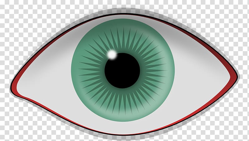 Human eye Retina Iris Visual perception, Eye transparent background PNG clipart