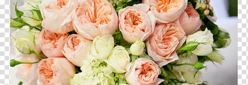 Floral design Wedding Roses Flower bouquet Garden roses, peach rosette transparent background PNG clipart