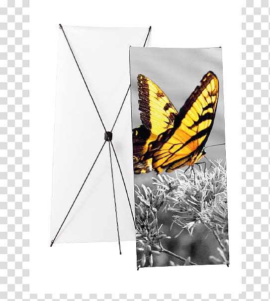 Monarch butterfly Web banner Brush-footed butterflies Advertising, personalized fashion banner transparent background PNG clipart