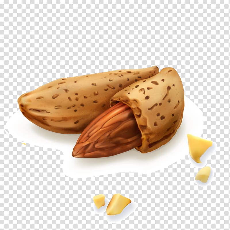 Almond Dried fruit, Almond transparent background PNG clipart