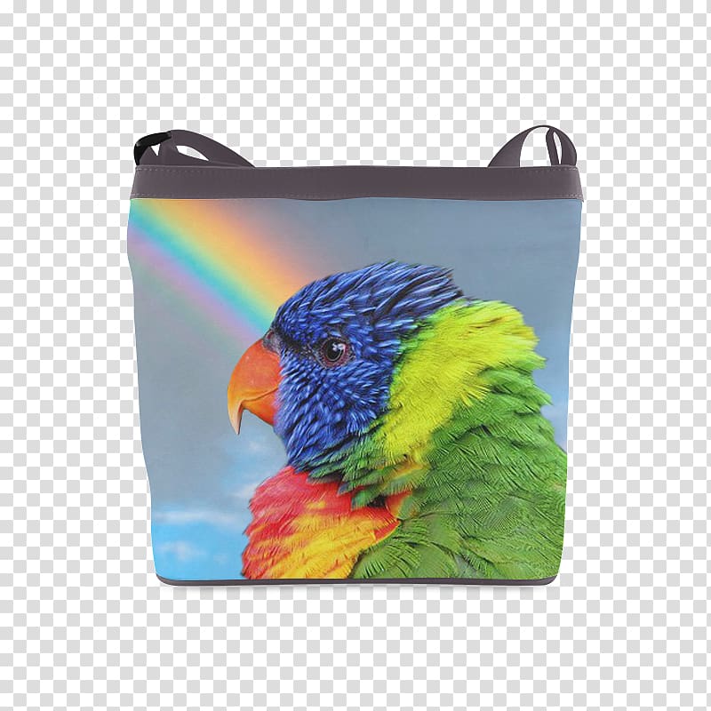 Parrot Budgerigar Cockatiel Loriini Rainbow lorikeet, parrot transparent background PNG clipart