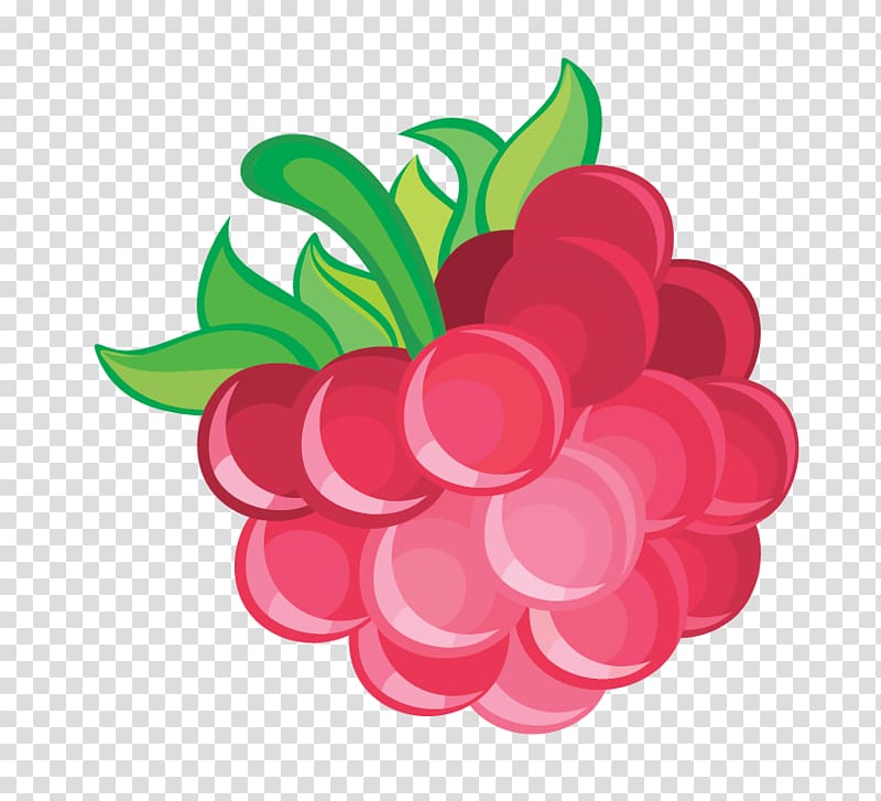 Frutti di bosco Red raspberry, Raspberry transparent background PNG clipart