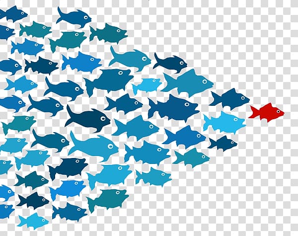 Leadership development Thought leader Management Business, School of Fish transparent background PNG clipart