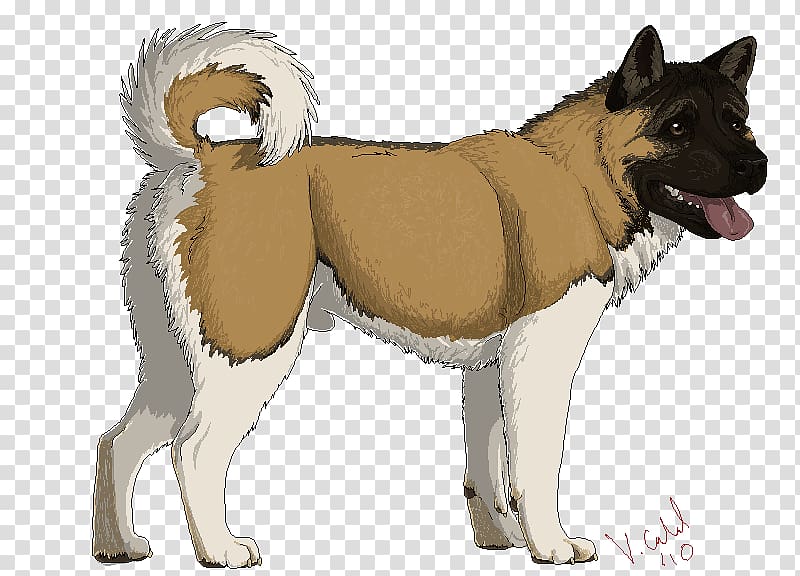 Akita Dog breed East Siberian Laika West Siberian Laika Shikoku dog, others transparent background PNG clipart