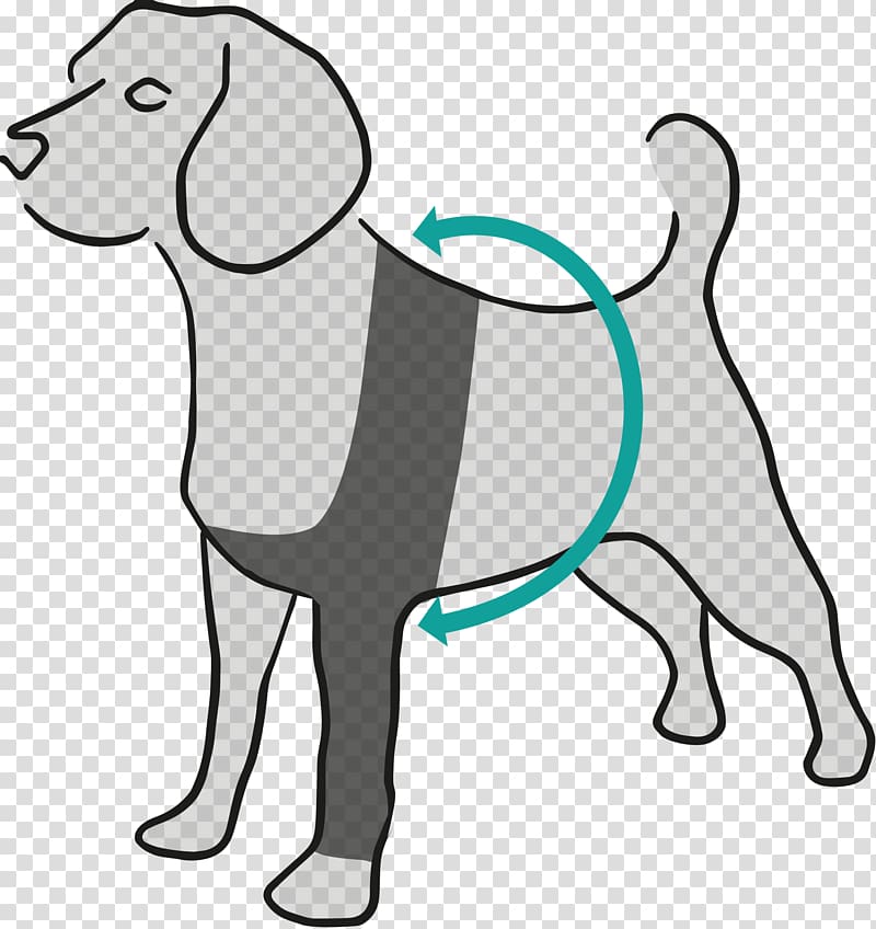 Dog breed Amazon.com Suitical Dog Recovery Sleeve Large Black, dog transparent background PNG clipart