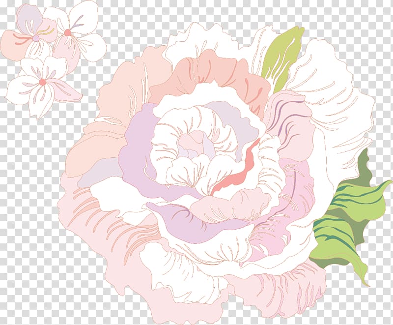 Centifolia roses Illustration, Light rose transparent background PNG clipart