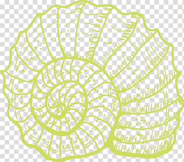 Sea snail Coral Illustration, conch transparent background PNG clipart