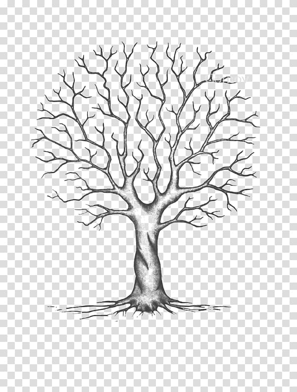 trees without leaves transparent background PNG clipart