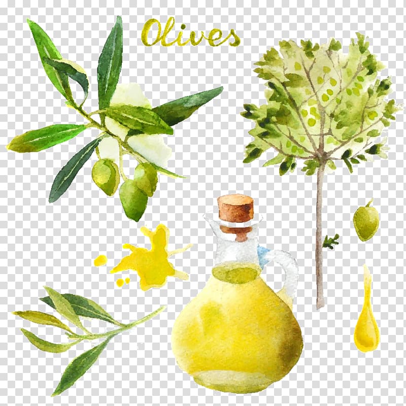 Olive oil Olive oil Watercolor painting, Oil painting olive oil transparent background PNG clipart