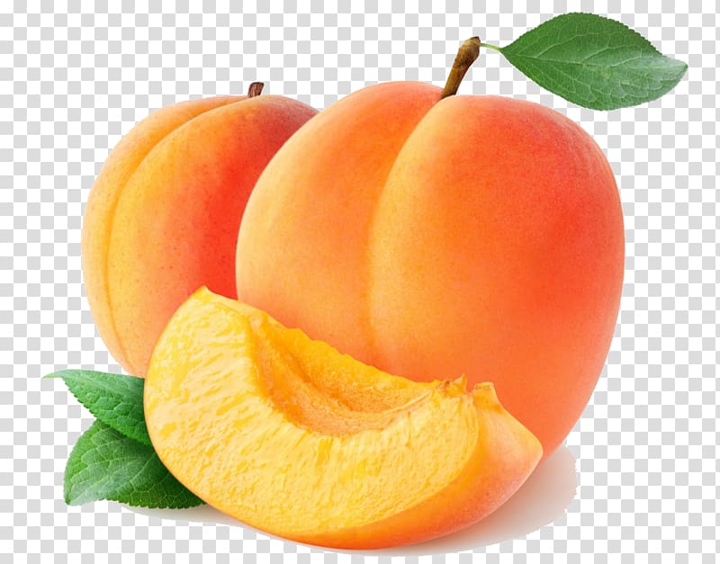 Marmalade Apricot Flavor Fruit preserves Balsamic vinegar, apricot transparent background PNG clipart