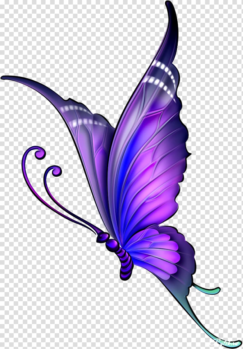 Butterfly Drawing Color Flying Transparent Background Png