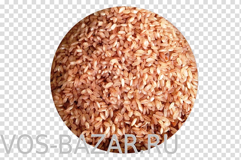 Uzbekistan Sprouted wheat Rice Uzbek language Grain, rice transparent background PNG clipart