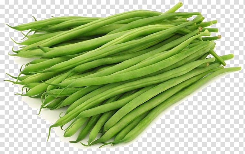 Common Bean Yardlong bean Green bean Vegetable, vegetable transparent ...